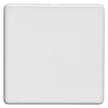 Screwless Concealed White Metal Blank Plates