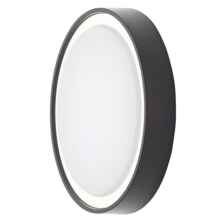 Black Round LED Coastal Outdoor Wall or Ceiling Light - BLK