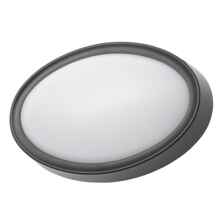 Black Oval LED Coastal Outdoor Wall or Ceiling Light - BLK