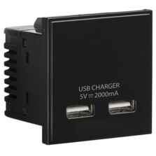 Dual USB charger (2A) Module - Black