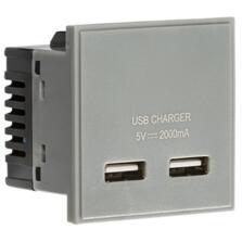 Dual USB charger (2A) Module