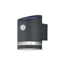 Anthracite Oval Solar Powered IP44 LED PIR Wall Light With Rechargeable Battery - PIR/SOLAR