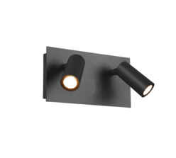 Anthracite Twin IP54 Outdoor Rectangle Wall Fitting With Adjustable LED Light	 - Twin 