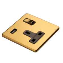 Screwless Satin Brass USB Socket - Single