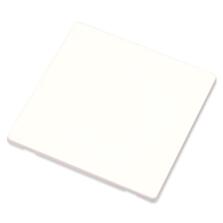 Screwless White Blank Plate 