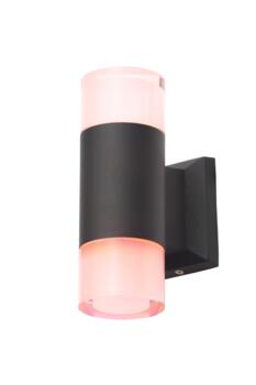 Ashby 2 Light Colour Changing LED Outdoor Wall Fitting In Black Finish - ZN-31765-BLK