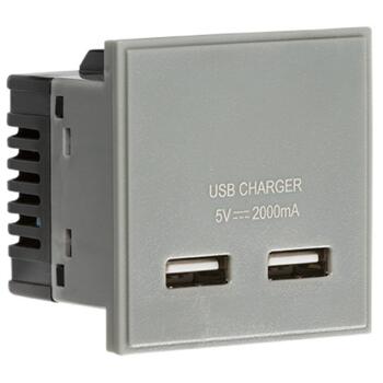 Dual USB charger (2A) Module - Grey