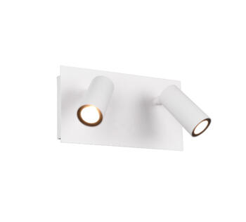 Matt White Twin IP54 Outdoor Rectangle Wall Fitting With Adjustable LED Light