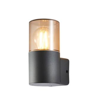 Grey With Smoked Glass Round LED Outdoor Wall Light