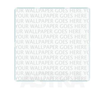 Transparent Blank Plate - 1 Gang Clear Single - Clear Single Blank Plate