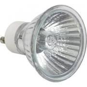 Gloss White Fire Rated Downlight Adjustable GU10 - 42W Warm White GU10 Lamp