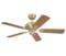 Westinghouse Ceiling Fan - Design & Combine 72122 - 42" Satin Brass