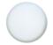 Steinel RS 10-1 L Ceiling/Wall Sensor Light -White - High Frequency Indoor Sensor Light