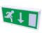 8W Emergency Light Exit Box - Dual Purpose Exit Box